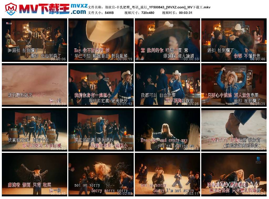 郑欣宜-丰乳肥臀_粤语_流行_YF500843